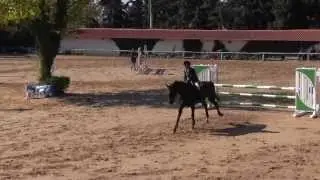 Η κατηγορία παίδων απο τον αγώνα ΚΕΙΘ 19/20-10-2013