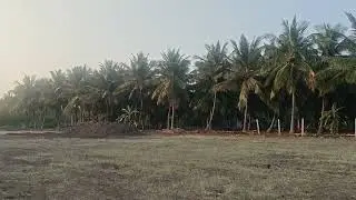 சூப்பர் பூமி 1ஏக்கர் உடுமலைப்பேட்டை அருகில் விற்பனைக்கு தொடர்புக்கு 90 95 47 14 10 