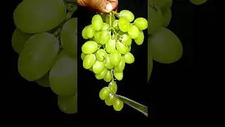 Grape juice . #fruitdrink #food #fruitjuice #tamarinddrink #recipe #bestdrinks