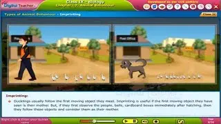 Animal Behaviour - Class 9 Biology | Digital Teacher
