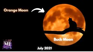 Orange Full Moon In July 2021 l And It Will Be A Buck Moon | The Midnight Journal |