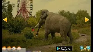 Wow Abandoned Amusement Park Escape walkthrough.