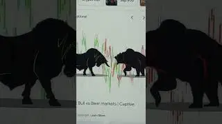 THE BULL & BEARS MARK-IT!