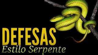 Estilo Serpente T&eacute;cnicas de Defesa | Kung Fu Tradicional (Revis&atilde;o)