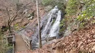Juney Whank Falls - Great Smoky Mountains
