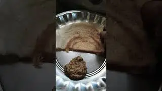 dosa chutney #song #music #arrahman #poomari #food #dosa#dosamavu#easyrecipe#viralrecipe#cooking