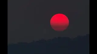 (FREE) Yunk Vino x Matue x Brandao085 type beat 
