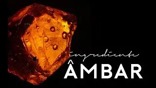 Âmbar / Ambergris