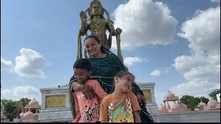 Wholesale Ma Kesar Keri Lidhi🥭🥭 Sarangpur Hanuman Dada Darshan Karya 🚩🚩