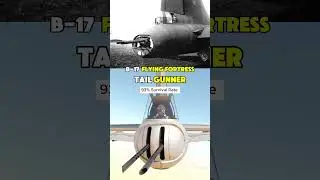 B-17 Crew SURVIVAL RATE!