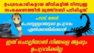 ഉപദ്രവകാരികളായ  ജീവികളിൽ നിന്നുളള രക്ഷ ലഭിക്കാൻ ഇത് പതിവാക്കുക | Pinnacle media