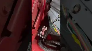 The catfish got what!? #viralvideo #automobile  #fyp #msd #2step  #friends #viralvideo #video
