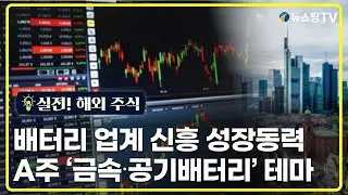 [실전! 해외주식] 배터리 업계 신흥 성장동력, A주 '금속∙공기배터리' 테마