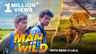 Bear vs. Internet - The Rise of the Anti-Algorithm