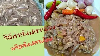 วิธีทำส้มปลาจ่อม [ หรือส้มปลาน้อย  ]