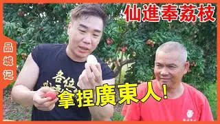 大秋等了一年的仙進奉來了，香甜飽滿又多汁！還有吃荔枝不上火這種好事？【品城記】