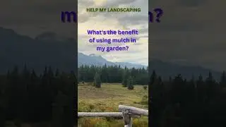Help My Landscaping Tip: Mulch #gardening #landscaping #garden #mulch