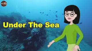 Under The Sea | Kids Learning Video | PR Kids Education | Kids Fun and Education | #kidsvideo