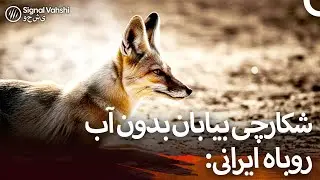 روباهی که بدون آب زندگی می‌کند: استاد پنهان بقا در بیابان‌های ایران I دوبلهٔ فارسی