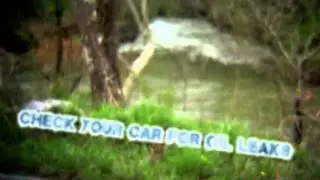 PlanetEarthAdvocates.org : check car oil leaks