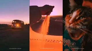 BLACKPINK - How You Like That ( English Lyrics ) | Aesthetic Full Screen Whatsapp Status [ Shorts ]