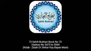 73 Sahih Bukhari Book No 73 Hadees No 5475 to 5544(Kitab - Zibah Or Shikar Kay Bayan Main)