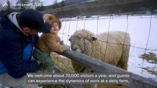 Maintaining a Proud Farming History in Rural Vermont | Billings Farm & Museum