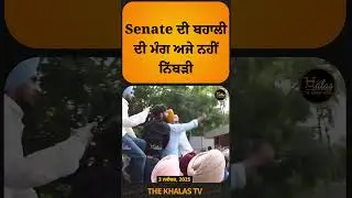 PU CHANDIGARH l SENATE ELECTIONS l AFFIDAVIT #punjabuniversity #panjabuniversity #sath #TheKhalasTv