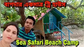 বাগদায় কাজুর বাগানে সেরা ক্যাম্প || Sea Safari Beach Camp || Bagda Sea Beach || Balasore Sea Tour