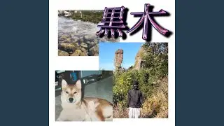 CHARI DRIFT