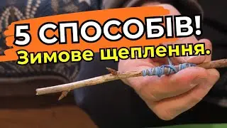 Роблю так і отримую подвійний прибуток! 3 секрети зимового щеплення