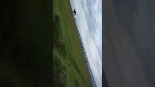 hyena tries Ostrich.