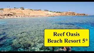 Египет 2020. Обзор отеля Reef Oasis Beach Resort 5*
