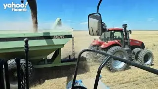 Colorado agriculture commissioner: Farmers are &lsquo;looking at new ways of production&rsquo; amid drought