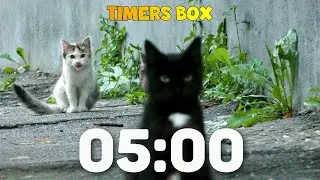 🐾 