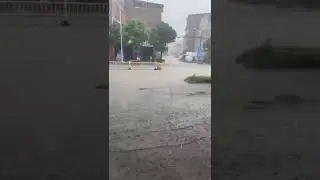 Fish 🐠 Road Par Hai Rain 🌧️ Swimming Fish #Fish#Rain#Sahim #shorts
