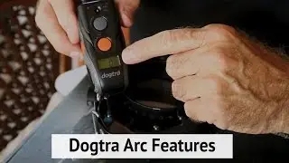 Электронный ошейник Dogtra ARC — Характеристики