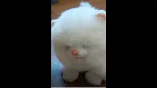 Сломалась интерактивная игрушка. Как подчинить игрушку? Обзор Котика SMIKI