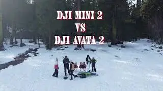 Pinecrest Lake California - DJI MINI 2 VS DJI AVATA 2 - 2/17/2025