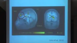 Waterloo Brain Day Lectures 2013: Paul Glimcher (New York University)
