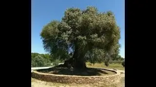 Уборка дома