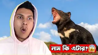 এই প্রাণীটা আমাকে ভয় পাইয়ে দিল! 🐯 Zoo visit gone wrong 😱