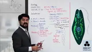 LEC#2 FIVE KINGDOM SYSTEM