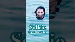 The Celtic Selkie (seal mermaid variation)