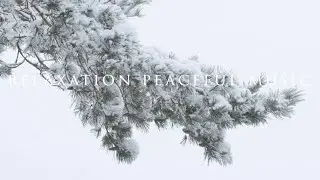 Relaxing Piano Music for Sleeping Vol. 11 | Relaxation Peaceful Music #28