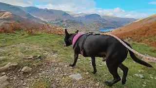 Angletarn pikes and Brock crags