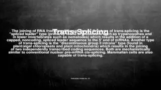Medical vocabulary: What does Trans-Splicing mean