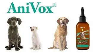 User's Guide on AniVox Ear Wash
