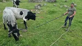 Autóctonos los ganaderos de sierra nos adaptamos a nuestro entorno.
