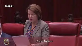 Introducing the concept of Veticare to Parliament on 13 November 2025, Amanda Dorn